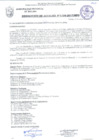 Vista preliminar de documento RESOLUCIÓN DE ALCALDÍA N° 1136-2017/MPS