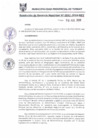 Vista preliminar de documento RGM0541-2018