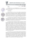 Vista preliminar de documento RGM0555-2018