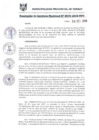 Vista preliminar de documento RGM0676-2018