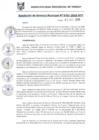 Vista preliminar de documento RGM0707-2018
