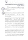 Vista preliminar de documento RGM0877-2018