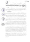 Vista preliminar de documento RGM0911-2018