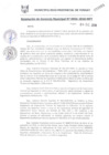 Vista preliminar de documento RGM0956-2018