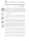 Vista preliminar de documento RGM1004-2018