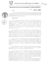 Vista preliminar de documento RGM1062-2018