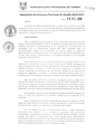 Vista preliminar de documento RGM1100-2018