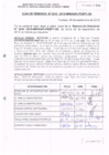 Vista preliminar de documento R.D. Nº 243.pdf
