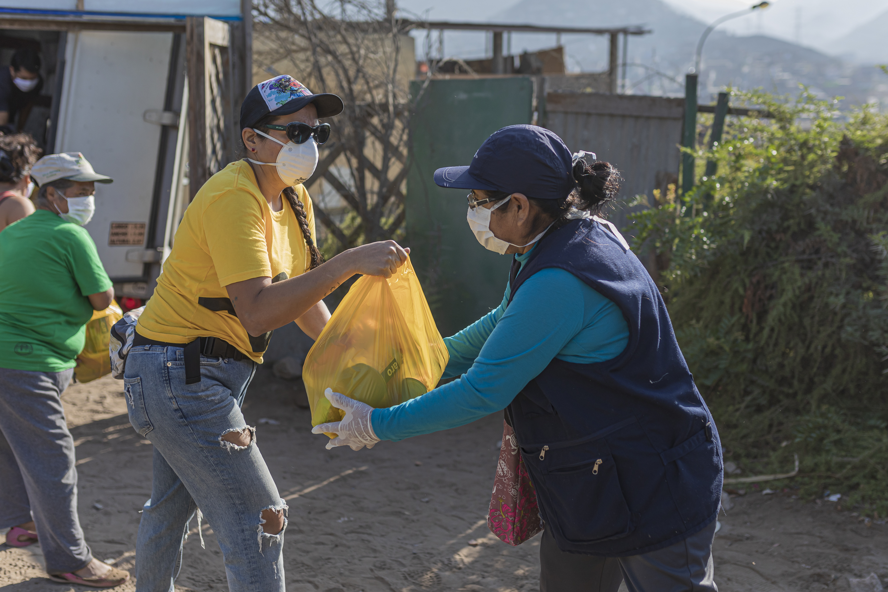 Voluntariado