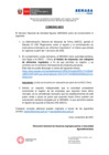 Vista preliminar de documento Comunicado-SENASA-DIAIA