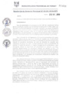 Vista preliminar de documento RGM1101-2018