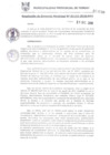 Vista preliminar de documento RGM1110-2018