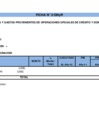 Vista preliminar de documento 2017