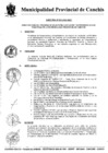 Vista preliminar de documento DIRECTIVA1.pdf