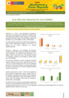 Vista preliminar de documento Boletín de Abastecimiento y Precios Mayoristas GMML y MM Nº 2 -01/12/21