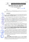 Vista preliminar de documento RDR 107-2020
