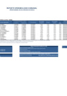 Vista preliminar de documento REPORTE SEMANA 02 - 2016