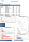 Vista preliminar de documento REPORTE SEMANA 36 - 2016