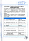 Vista preliminar de documento Acta del Primer Taller