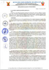 Vista preliminar de documento RA  N° 296-2021-MDS.pdf