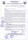 Vista preliminar de documento Re_Ger63_2019