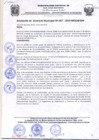 Vista preliminar de documento Re_Ger67_2019