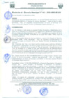 Vista preliminar de documento Re_Ger163_2020