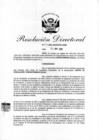 Vista preliminar de documento RD 828-2020.pdf