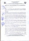 Vista preliminar de documento Re_Ger95_2020