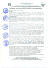 Vista preliminar de documento Re_Ger022_2021