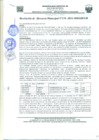 Vista preliminar de documento Re_Ger118_2021