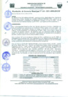 Vista preliminar de documento Re_Ger161_2021