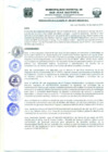 Vista preliminar de documento Resolucion100_2019