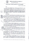 Vista preliminar de documento RG_563-2020.pdf