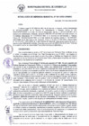 Vista preliminar de documento RG_541-2020.pdf