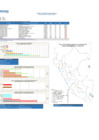 Vista preliminar de documento REPORTE SEMANA 08 - 2019
