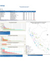 Vista preliminar de documento REPORTE SEMANA 21 - 2019