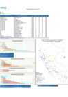 Vista preliminar de documento REPORTE SEMANA 23 - 2019