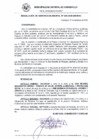 Vista preliminar de documento RG_530-2020.pdf