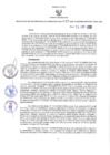 Vista preliminar de documento 95-2021