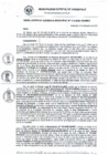 Vista preliminar de documento RG_516-2020.pdf