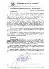 Vista preliminar de documento RG_493-2020.pdf