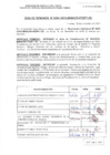 Vista preliminar de documento RESOLUCION N 0294.pdf