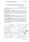Vista preliminar de documento RESOLUCION N 0295.pdf