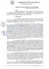 Vista preliminar de documento RG_487-2020.pdf