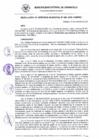 Vista preliminar de documento RG_486-2020.pdf
