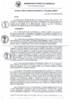 Vista preliminar de documento RG_480-2020.pdf
