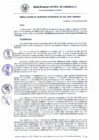 Vista preliminar de documento RG_462-2020.pdf
