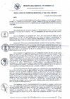 Vista preliminar de documento RG_460-2020.pdf
