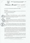 Vista preliminar de documento Ordenanza municipal